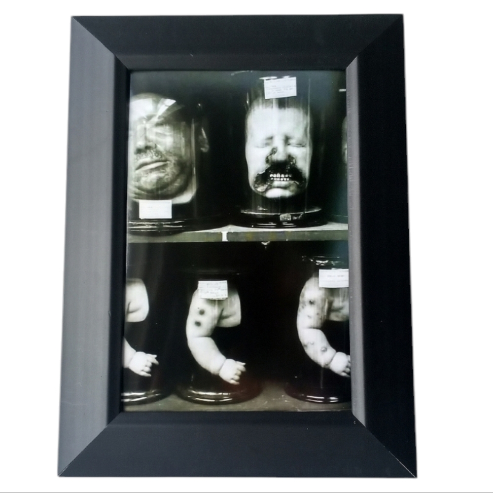 Anatomy Vintage Oddity Shelf Curiosities Gothic Werid Creepie Horror Sci Fi Art